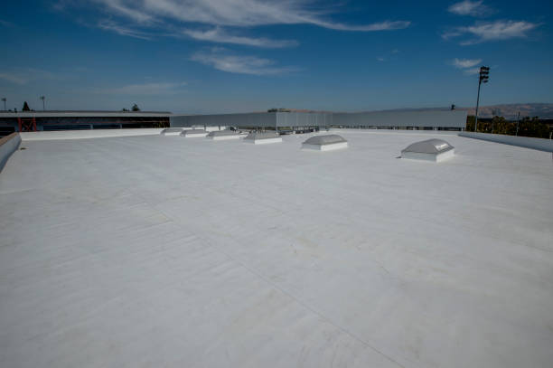 Best Roof Leak Repair  in Preston, MN