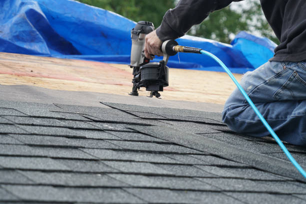 Best Roof Moss and Algae Removal  in Preston, MN