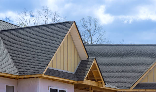 Best Asphalt Shingles Roofing  in Preston, MN