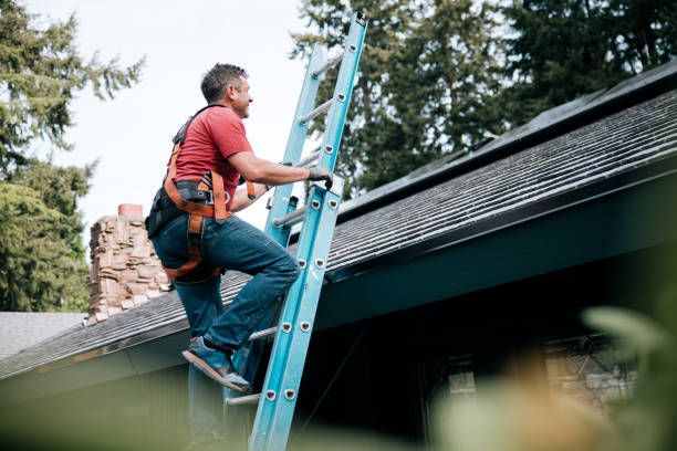 Best Roof Insulation Installation  in Preston, MN