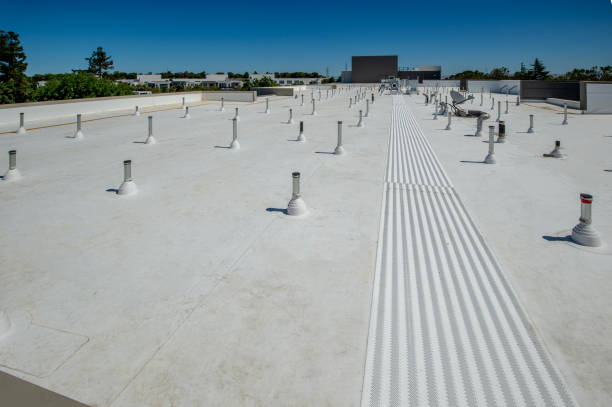 Best Roof Leak Repair  in Preston, MN